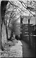 Path to Ecclesall Road