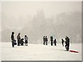 Sledging in a snowstorm in Abbey Fields