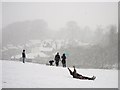 SP2872 : Sledging in the snow in Abbey Fields by John Brightley
