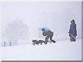 SP2872 : Sledging in a snowstorm in Abbey Fields by John Brightley