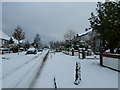 A snowy scene in Evelegh Road (5)