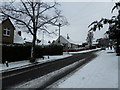 Approaching the junction of a snowy Farlington Avenue and Solent Road