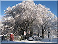 Alder Road, Cardiff, in the snow