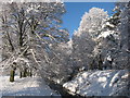 Roath Brook in Roath Park, Cardiff