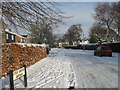 Stag Green Avenue, Hatfield