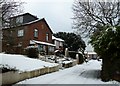 A snowy scene in Drayton Lane