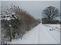 Footpath junction on the bridleway near Crixhall Court