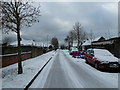 Looking down a snowy South Road