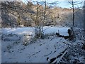 Hawkshead Pool in Tong Rough