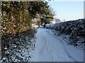 Bridleway and farm track to The Holt and Meashill Farm