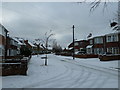 Snow in Lealand Road