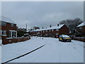 Bend in a snowy Copsey Grove