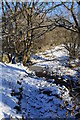 Stream at Arkland Bridge