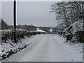 Little Berkhamsted Lane, Little Berkhamsted