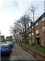 Pavement in a wintry Norfolk Street