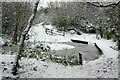 Pond habitat