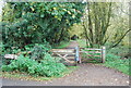 Forest Way off Beech Green Lane