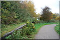 Overgrown platform, the old Hartfield Station