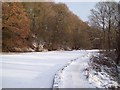 SK3087 : Frozen Mill Pond by the River Rivelin by Jonathan Clitheroe