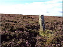 NZ6600 : Boundary  Stone  and  Howe by Martin Dawes