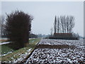 TF4918 : Winter scene, Goose's Lane, Walpole St Andrew by Richard Humphrey