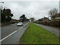 Grass verge in Goring Road