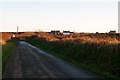 Approaching Ty Hen Farm and the former Capel Penycaerau