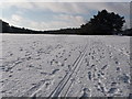 Queen?s Park: seventh fairway under snow