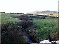 Nant Meillionydd Mawr below Pont Rhyd-llo