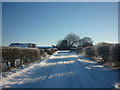 Thirtle Bridge Lane at North Farm, Rimswell