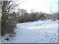 Looking up to Moorland Heights