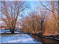 Cod Beck at Norby