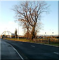 Trees on an island, Spytty Road, Newport