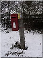 West Wellow: postbox № SO51 532, Gardeners Lane