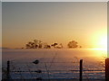 Winter solstice sunset near Rhynie