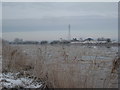 Ice on the Trent at Althorpe