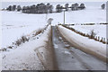 Road north from Kinnordy