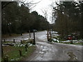 St Leonards, forestry car-park