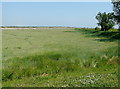 Footpath to Rye Bay