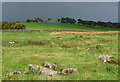 Farmland, Ingoe