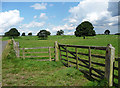 Parkland near Meldon