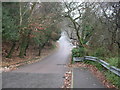 Ringwood, Folly Farm Lane