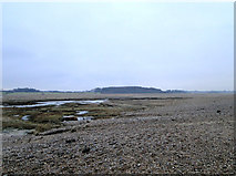 TM4872 : On Reedland Marshes, Dunwich by Adrian S Pye