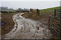 Muddy Entrance