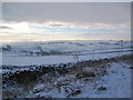 View across Allendale