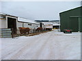 NH4755 : Cattle at Kinnahaird Farm by Dave Fergusson