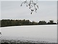 Black Barn Farm, Madehurst