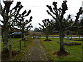 Lower Bullington- looking from the church, down the lime tree walk and out into the lane