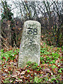 Listed Milestone