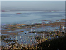 ST5689 : Severn Estuary by Chris Gunns